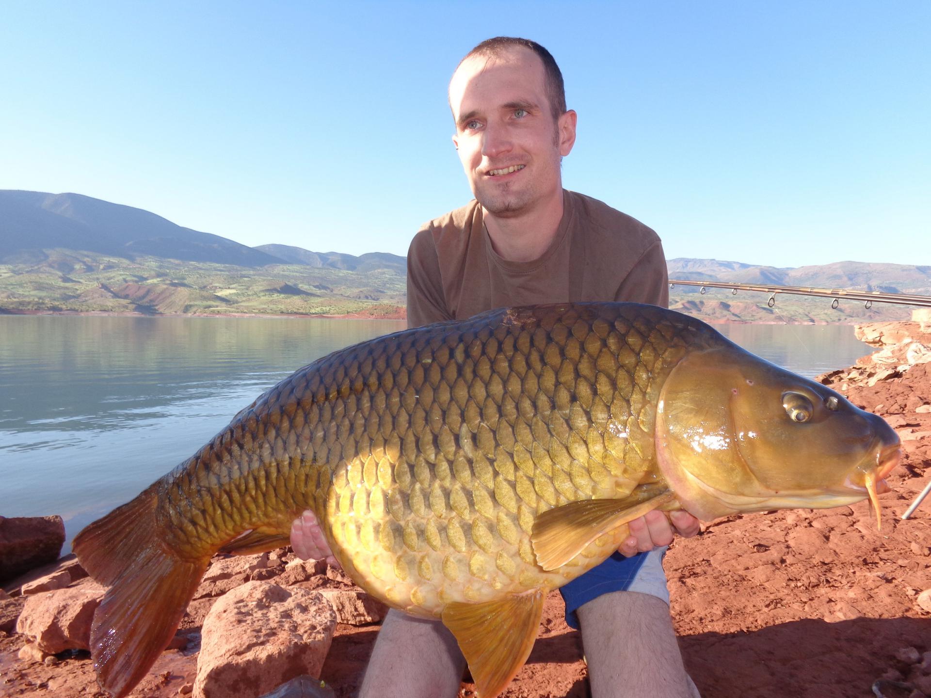 Carpe Commune capturé par chocoss